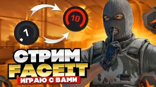 КС:ГО CS:GO ОТ СИЛЬВЕРА ДО ГЛОБАЛА БЕЗ ЧИТОВ NA FACEIT