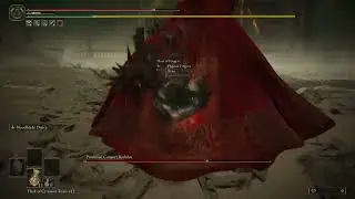 【ELDEN RING】When you whiff and your friend dies【Kamikazu Hunter】