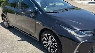 All new corolla