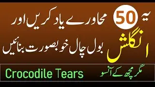 50 Important Idioms in English in Urdu Translation and Explanation