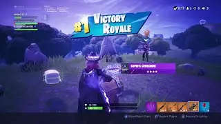 Fortnite Stream unedited