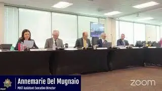 Peace Officer Standards Accountability Advisory Board Hearing