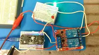 Using a single relay to toggle both LEDs and output states using Arduino. 