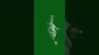Smoke green screen shorts, smoke green screen video #smokey