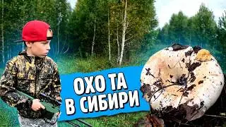 ПОИСК ГРИБОВ В СИБИРСКОМ ЛЕСУ