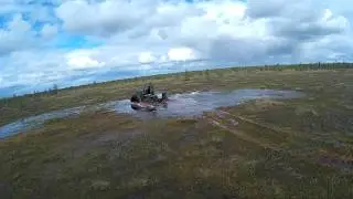 Крош и болотные окна