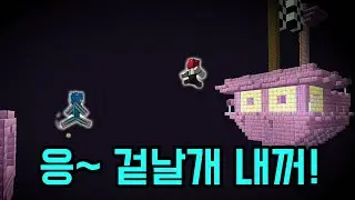 엔더시티 레이스