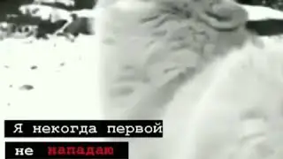 Я некогда первый