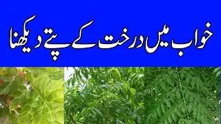 khwab mein darakht k pattay dekhna