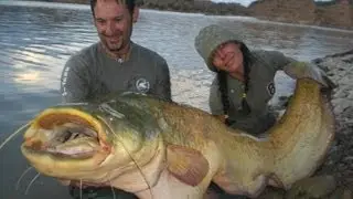 CATFISHING: MONSTER'S SPANISH CATFISH by CATFISH WORLD