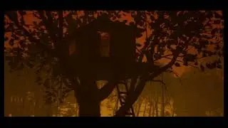 Fire in the Forest UE5