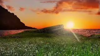 SUN RAYS AND MORNING ANIMATED BACKGROUNDS DOWNLOAD LATEST ANIMATED HD 1080P GREEN SCREEN BACKGROUNDS