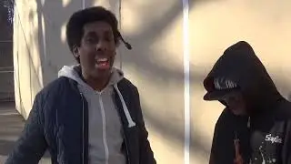 L-storm E.d matrix freestyle
