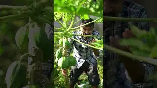 ඔයාලා කන්නෙ හොඳ කෑම නෙමෙයි.