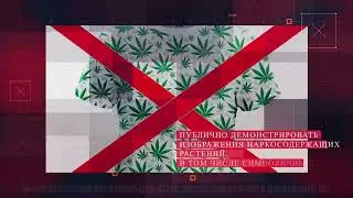 МВД России предупреждает: Как работают закладчики наркотиков.