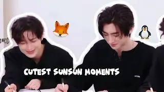 adorable sunsun: the cutest moments compilation