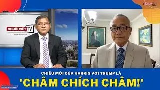 Chiêu mới của Harris với Trump là 'Châm Chích Châm!'
