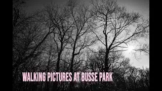Walking Pictures S01: New In Town | E01 Busse Park, Illinois
