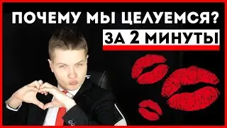 КАК НОС НАУЧИЛ ЛЮДЕЙ ЦЕЛОВАТЬСЯ? / FACTOFF