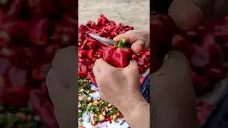 Salçalık Biber Temizleme 🔥🌶️