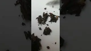 сказка о народе, которых считают свиньями.