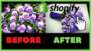 Add Product Hover Effect (Image or Video) - Shopify Debut Theme