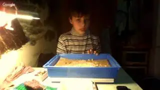 обзор  уборка клетки моего хомячка