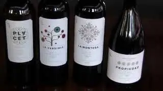 What You Need to Know About Spanish Wine with Alvaro Palacios - Wine Oh TV