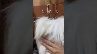 Пуховик с мехом полярной Лисы🦊