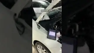 Другой VIN в мозгах у Skoda Rapid