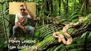 Manny Ledesma Promo Instinto Animal 2014