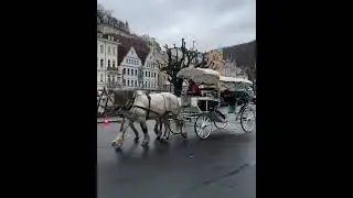 Christmas day in Karlovy Vary