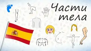 Части тела на испанском.