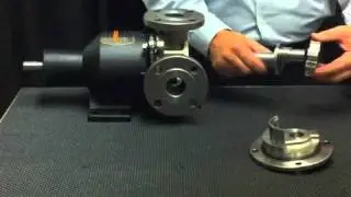 Industrial: PeopleFlo EnviroGear Sealless Pump Overview
