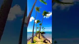 На отдых🌴 🌋 Гавайи сегодня.