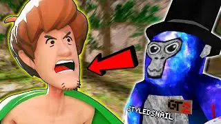 Shaggy Plays Gorilla Tag VR Voice Trolling (they quit?!?!)