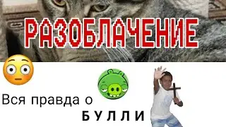 Б У Л Л И разоблачение #rro #рро #car #машина #game #разоблачение #правда