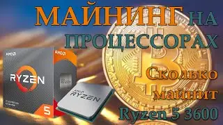 Майнинг на процессорах /  Сколько майнит Ryzen 5 3600 / Окупаемость майнинга на процах