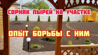 Как ИЗБАВИТСЯ от ПЫРЕЯ? Подготовка участка под РУЛОННЫЙ ГАЗОН