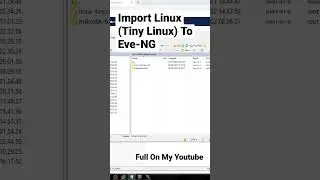 Import Linux (Tiny Linux) Ke EvE-NG