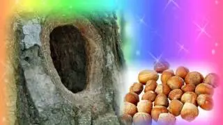 Песенка-загадка. Загадка для самых маленьких. Песенка-загадка  про белочку.