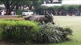FAR EASTERN UNIVERSITY (Campus Tour)