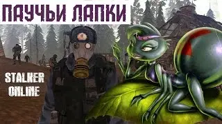 Stalker Online. Небольшие паучьи лапки