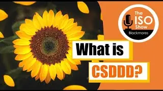 #193 Understanding ESG Reporting – CSDDD
