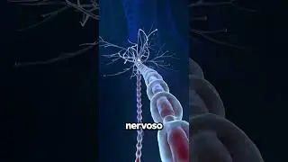 Why Does Meat… MOVE?!?!😳