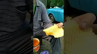 МЁД...🌝👍  Кушайте мёд и любая хворь у Вас пройдёт !