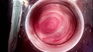 demonstration of order from chaos  enthalpy-entropy bilateral symmetry from wake turbulence in fluid