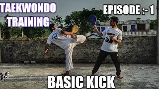 Taekwondo Training - BASIC KICK