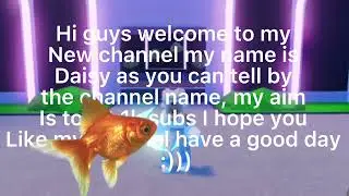 New channel