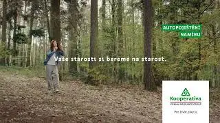 Autopojištění NAMÍRU - vaše starosti si bereme na starost
